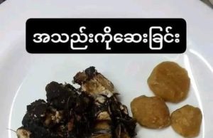 ကျန်းမာရေး အတွက် အသည်းကိုဆေးပေးခြင်း