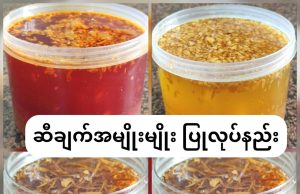 ဆီချက်အမျိုးမျိုး ပြုလုပ်နည်း