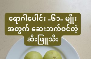 ရောဂါပေါင်း_၆၁_မျိုးအတွက်ဆေးဘက်ဝင်တဲ့ဆီးဖြူသီး