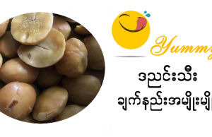ဒညင်းသီး လုပ်စားနည်းအမျိုးမျိုး