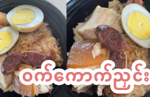 ဝက်ကောက်ညှင်း