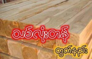 သစ်လုံး၊ သစ်ခွဲသားများကို ကုဗပေနှင့်တန်ဖွဲ့ခြင်း