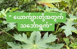 ယောက်ျားတို့အတွက် သင်္ဘောရွက်
