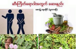 ဆီးကြိတ်ရောဂါအတွက် ဆေးနည်း
