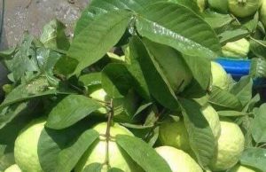 သင့်ကိုယ်သင် တကယ်ဂရုစိုက်တယ်ဆိုရင်