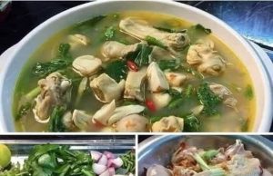 ကြက်သောက်စမ်းချက်နည်း