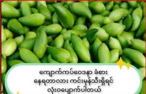 ကျောက်ကပ်ဝေဒနာကိုလုံးဝပျောက်ကင်းသွားအောင်ကုသနိုင်တဲ့ဆေးနည်း