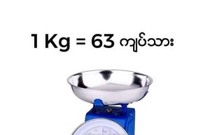 ဂရမ်/ ကီလို/kg နဲ့ ပိဿာ တွက်ချက်ပုံလေးပါ
