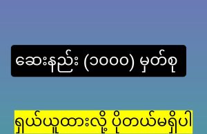 သိမ်းထားသင့်သော “အဖိုးတန် ဆေးမြီးတိုများ