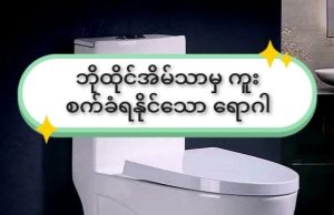 ဘိုထိုင်အိမ်သာ ထိုင်ခုံမှ ကူးစက်နိုင်သော ရောဂါများ