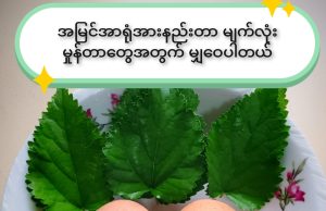 မျက်မှန် မတပ်ချင်သူများအတွက်