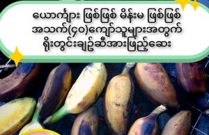 ရိုးတွင်း ချဉ်ဆီအားဖြည့်ဆေး
