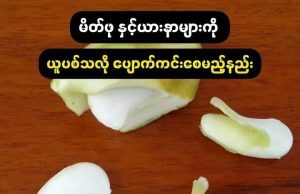 မိတ်ဖု နှင့်ယားနာများကို ယူပစ်သလိုပျောက်ကင်းစေမည့်နည်း