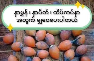 နှာမွှန် နှာပိတ် ထိပ်ကပ်နာ