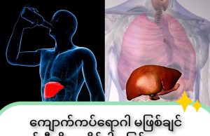 ကျောက်ကပ်ရောဂါ ဘယ်လိုကာကွယ်မလဲ