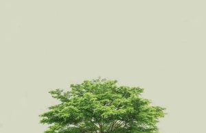 သာမန်ဘဝက ရုန်းထွက်ဖို့ အဆင့် (၁၀) ဆင့်