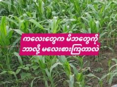 Why don’t children respect their parents?