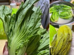 ကြံမဆိုင် လုပ်နည်း