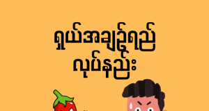 ရှယ်အချဉ်ရည်လုပ်နည်း