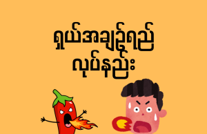 ရှယ်အချဉ်ရည်လုပ်နည်း