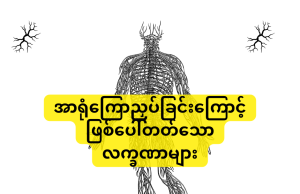 အာရုံကြောညှပ်ခြင်းကြောင့် ဖြစ်ပေါ်တတ်သော လက္ခဏာများ